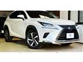 2018 Lexus NX