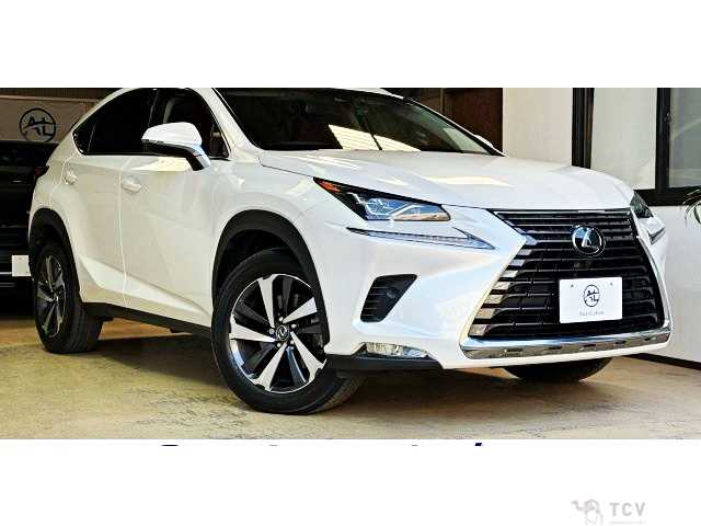 2018 Lexus NX