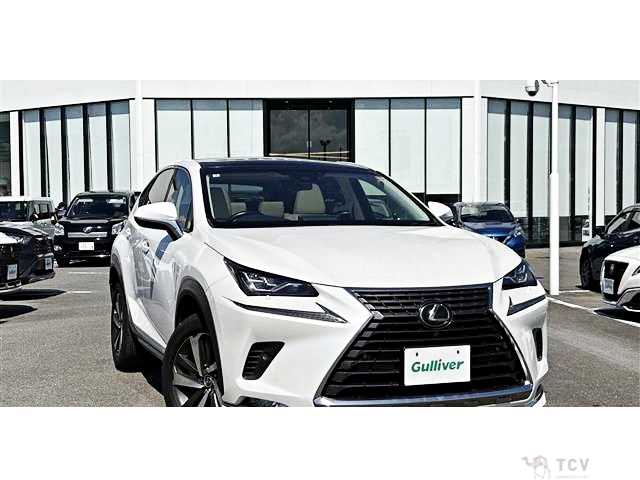 2018 Lexus NX