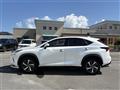 2018 Lexus NX