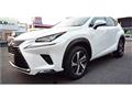 2018 Lexus NX