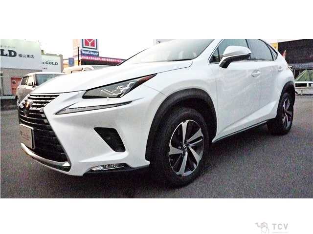 2018 Lexus NX