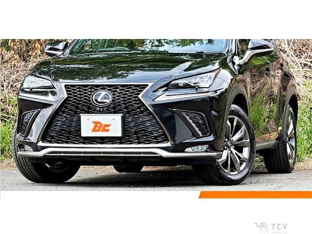 2018 Lexus NX