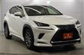 2018 Lexus NX