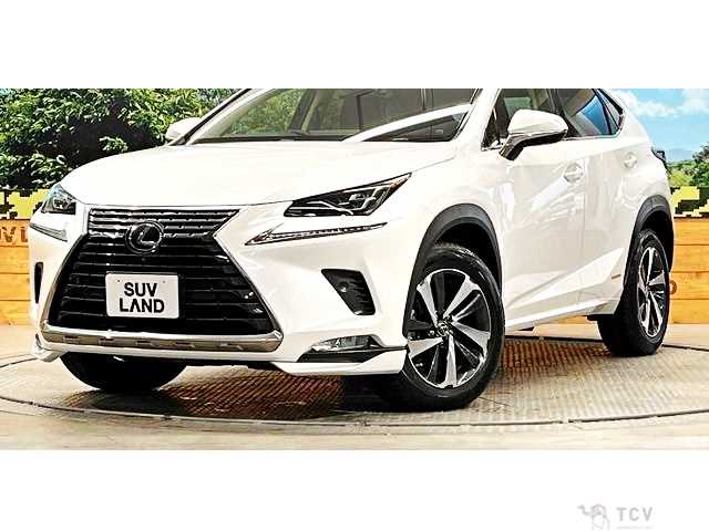 2018 Lexus NX