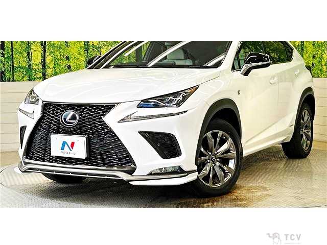 2018 Lexus NX