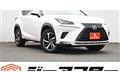 2018 Lexus NX