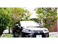 2018 Lexus NX
