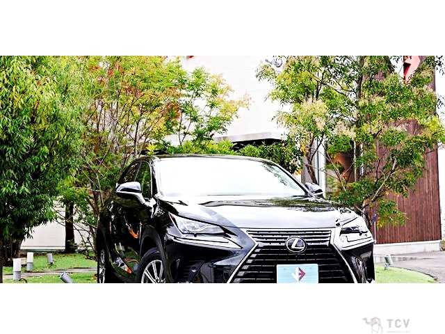 2018 Lexus NX