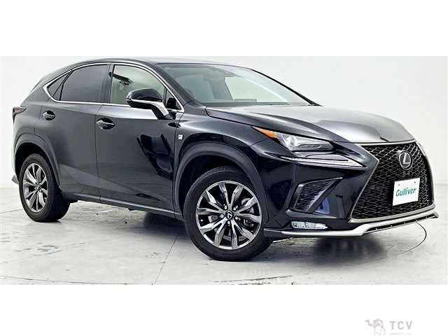 2018 Lexus NX
