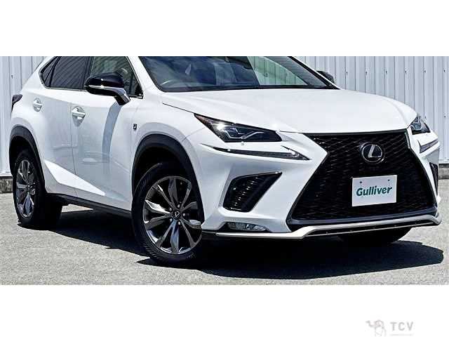 2018 Lexus NX