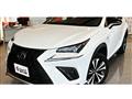 2018 Lexus NX