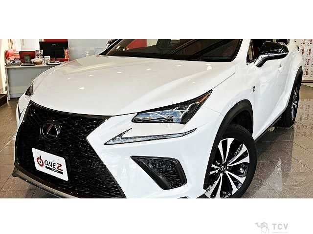 2018 Lexus NX