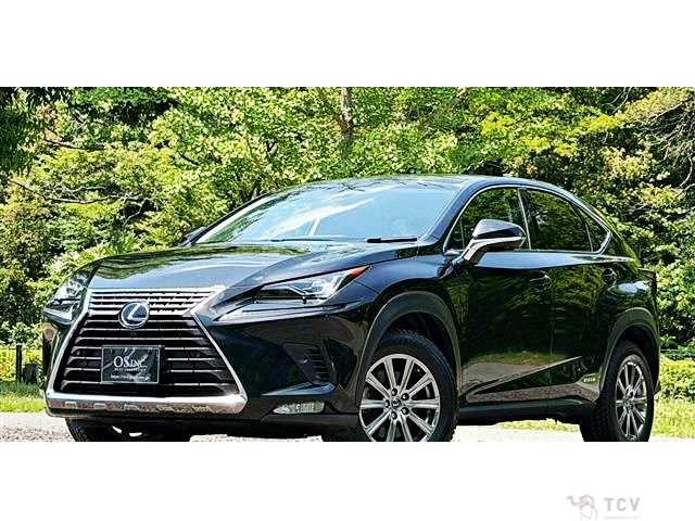 2018 Lexus NX