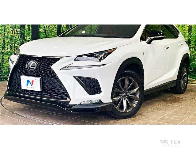 2018 Lexus NX