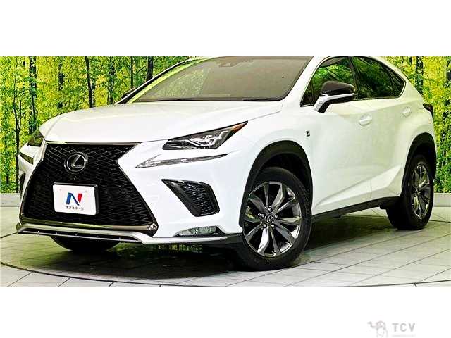 2018 Lexus NX