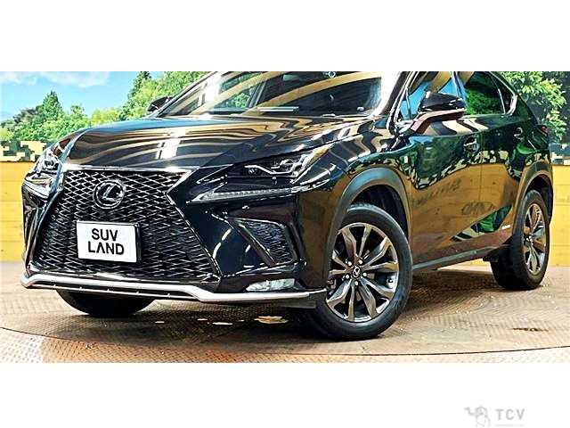 2018 Lexus NX