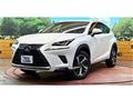 2018 Lexus NX