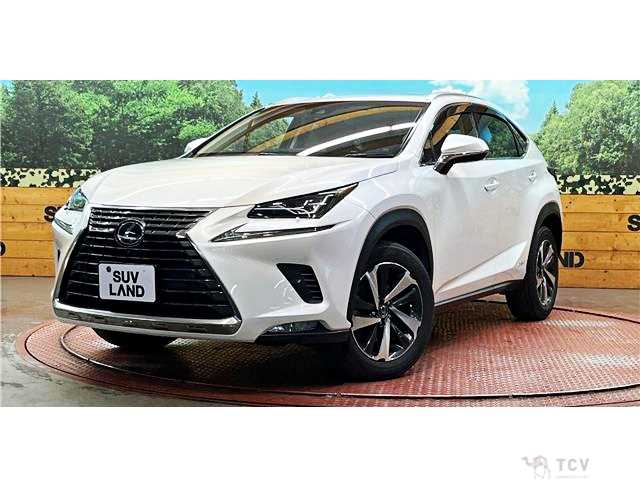 2018 Lexus NX
