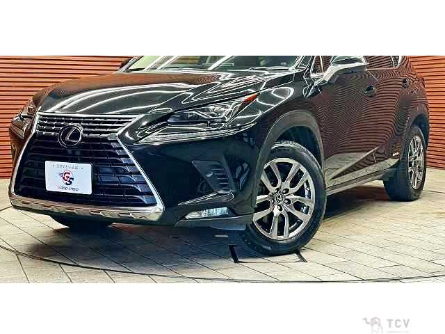 2018 Lexus NX