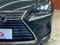 2018 Lexus NX