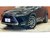 2018 Lexus NX