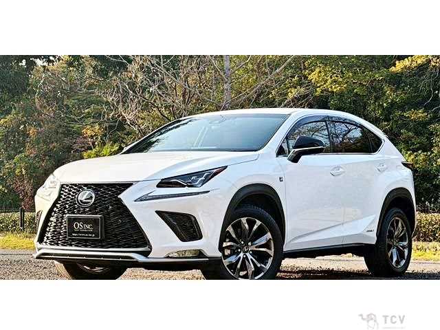 2018 Lexus NX