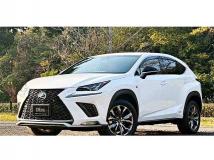 2018 Lexus NX