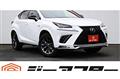 2018 Lexus NX