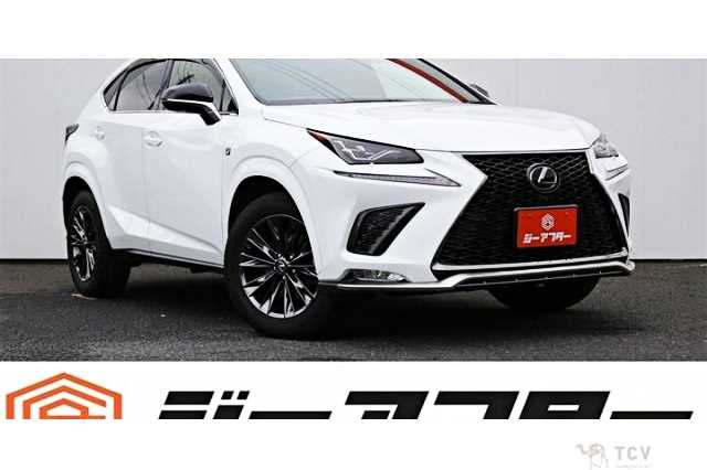 2018 Lexus NX