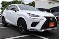 2018 Lexus NX