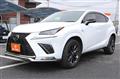 2018 Lexus NX