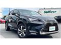 2018 Lexus NX