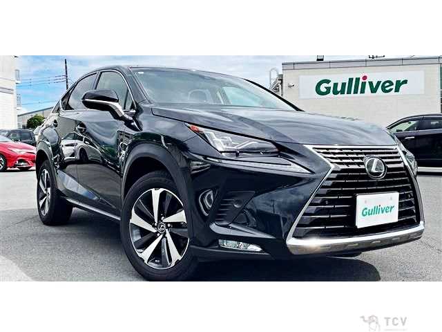 2018 Lexus NX