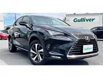 2018 Lexus NX