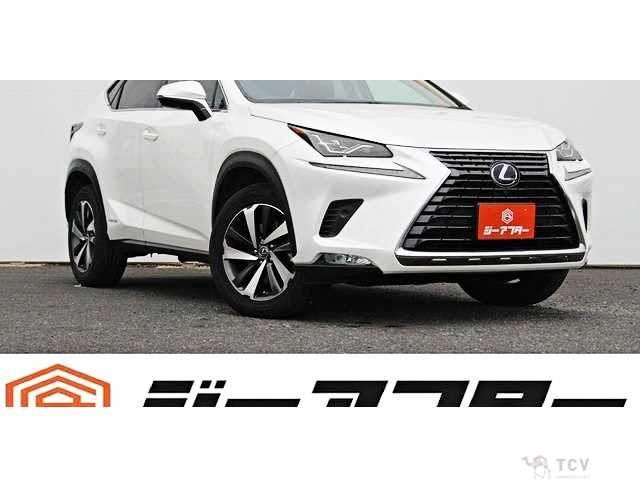 2018 Lexus NX