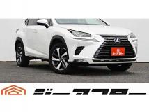 2018 Lexus NX