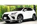 2018 Lexus NX