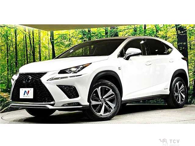 2018 Lexus NX