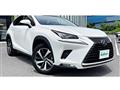 2018 Lexus NX