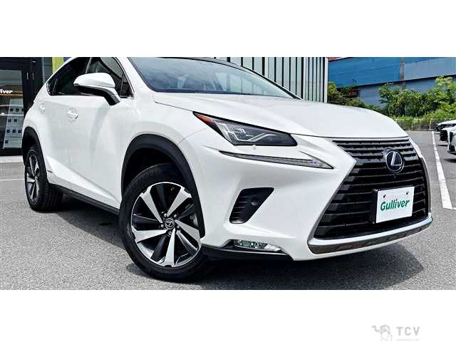 2018 Lexus NX