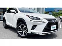2018 Lexus NX