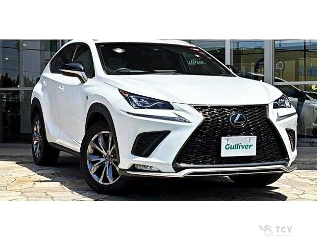 2018 Lexus NX