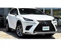 2018 Lexus NX