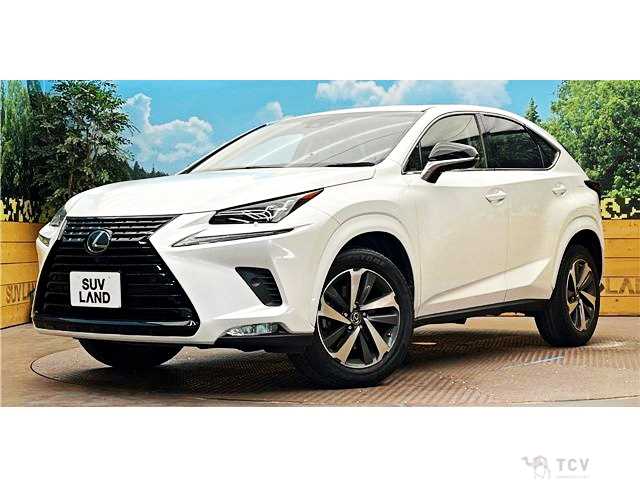 2018 Lexus NX