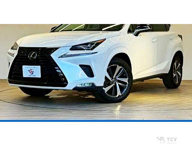 2018 Lexus NX