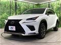 2018 Lexus NX
