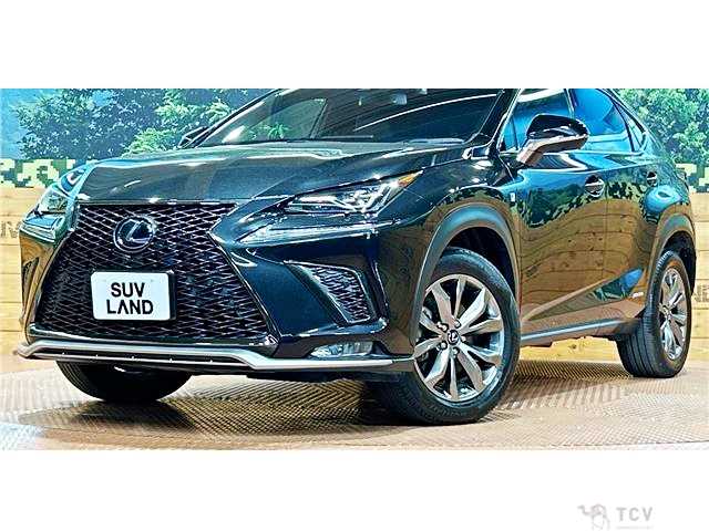2018 Lexus NX