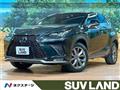 2018 Lexus NX