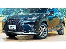 2018 Lexus NX